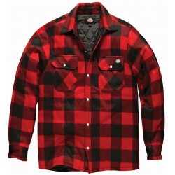 Dickies - Camicia canadese Portland uomo