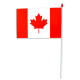 Mini Bandiera del Canada