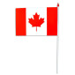 Mini Canadian Flag
